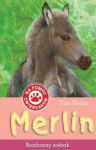 Merlin Bezdomny źrebak