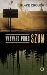 WAYWARD PINES SZUM