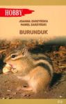 BURUNDUK