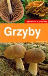 GRZYBY