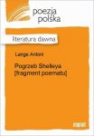 Pogrzeb Shelleya [fragment poematu]