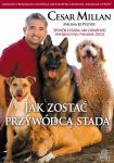 Jak zostać przywódcą stada