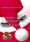 Niezwykłe opowieści Podziomka Karolka