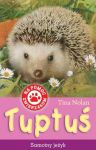 Tuptuś samotny jeżyk